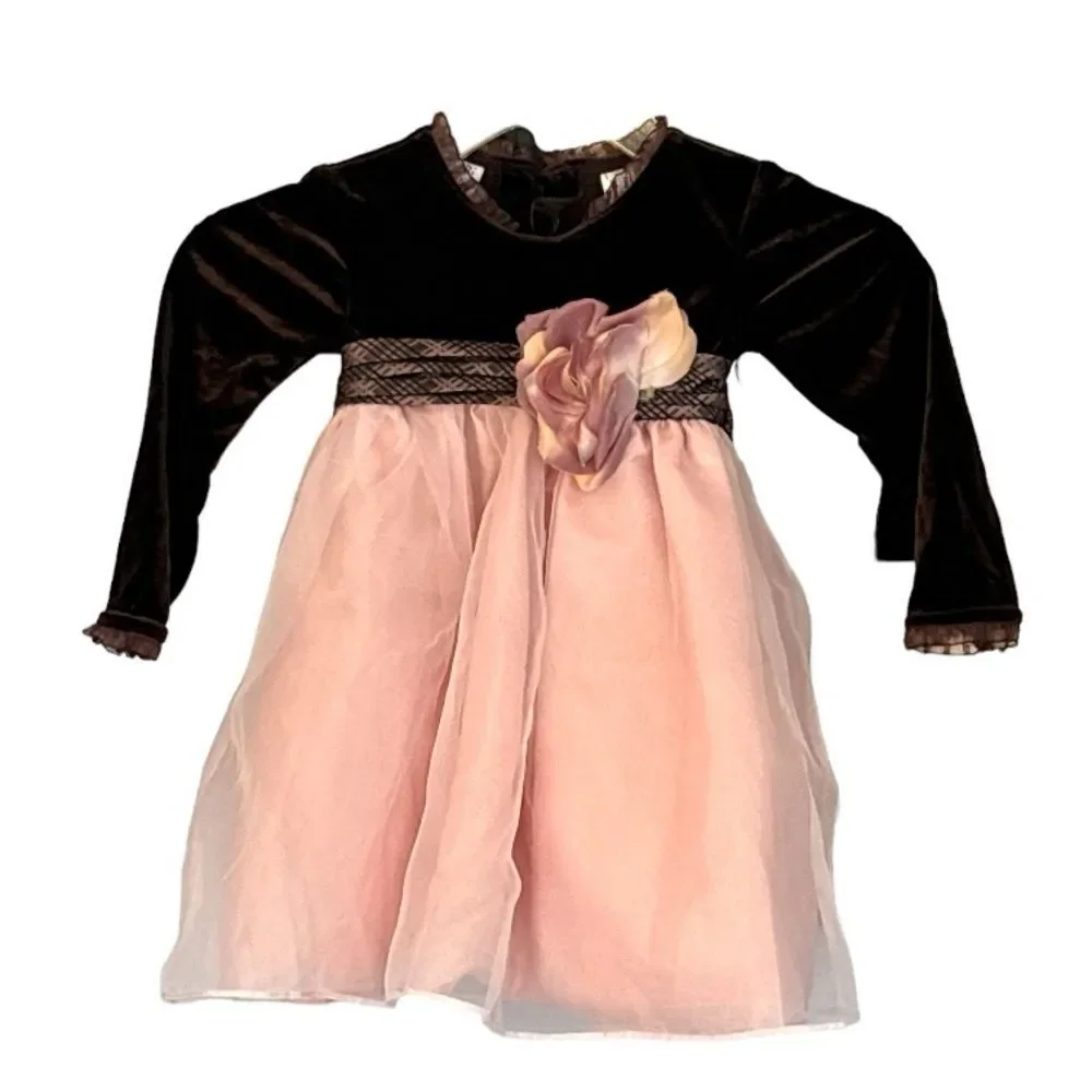 Blueberri Boulevard Toddler Girls Brown PInk Formal Velvet Tulle Dress Size 2T